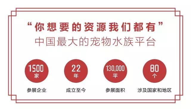 意大利/台湾参展品牌预览|CIPS上的意式风情和台式浪漫