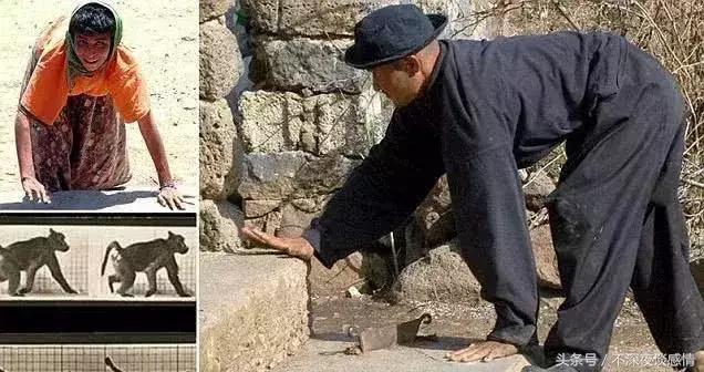 “*亲近**繁衍”会怎样？土耳其这家人来告诉你