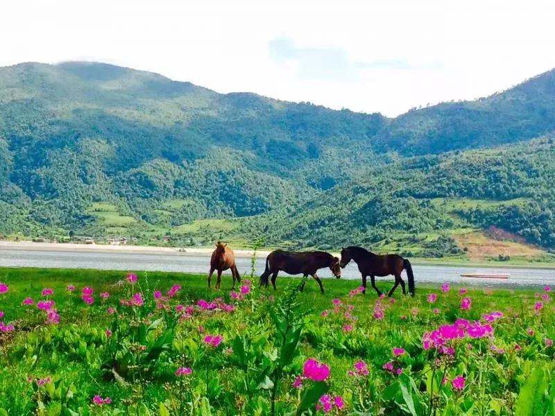 丽江的夏天这么冷,丽江即将进入最美季节