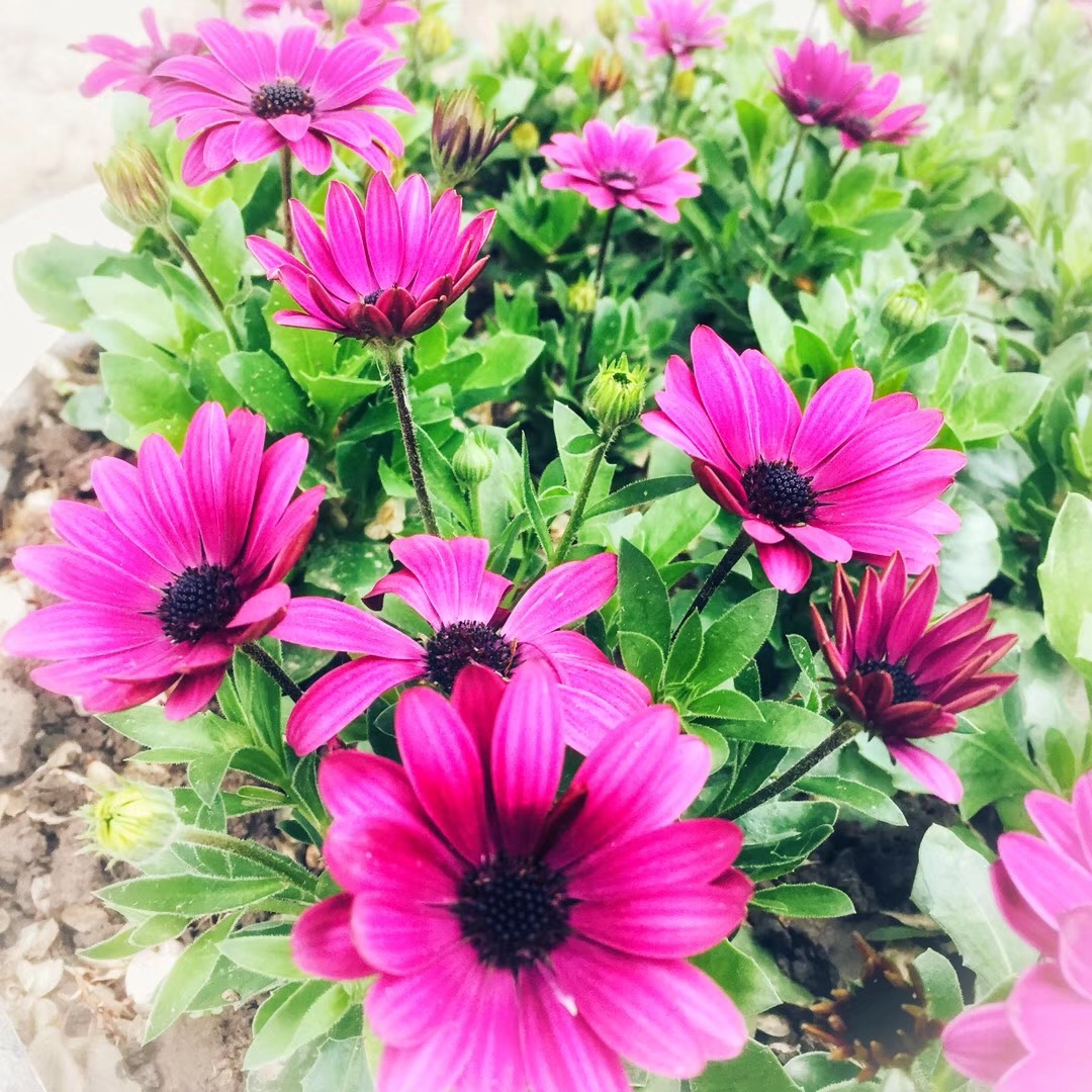 别人家孩子不是我家孩子,别人家的孩子不是我们家的