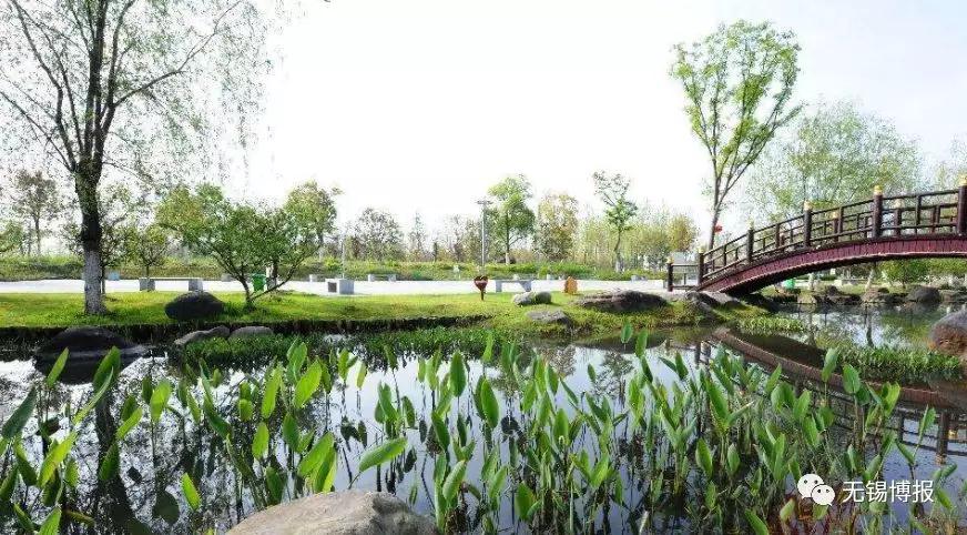 无锡市整体环境,无锡打造全国最干净城市