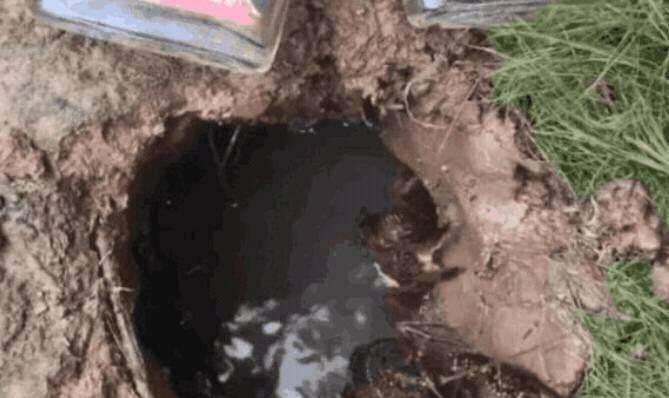 男子喝一瓶二锅头,男子将2瓶白酒藏到老家