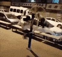 公园里常见的健身器材,被遗忘的健身器材