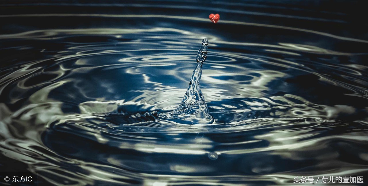 《黄帝八十一难经》之三十三难:肝属木,为何木浮于水肝却沉于水