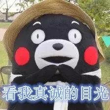 乐华七子久违的合体,乐华七子西装