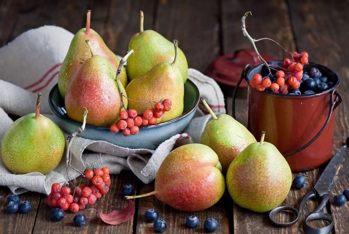 寒露昼暖夜来凉,二十四节气过了寒露天气由冷转寒