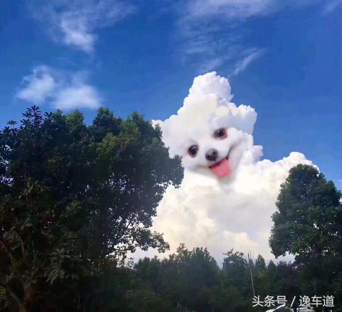 100万的牧马人罗宾汉,牧马人罗宾汉皮卡落地价