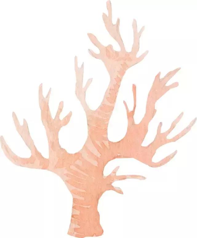 记忆|今天这个全民节日,源自十年前的一件大事!