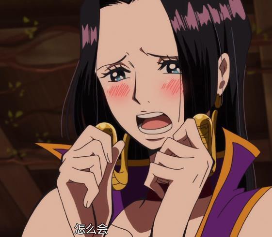 海贼王女帝最惨一集,海贼王女帝的十个秘密