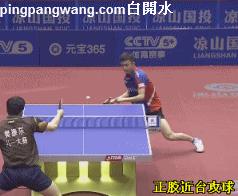 正手用正胶好还是反手用正胶,正胶正手的优点和缺点