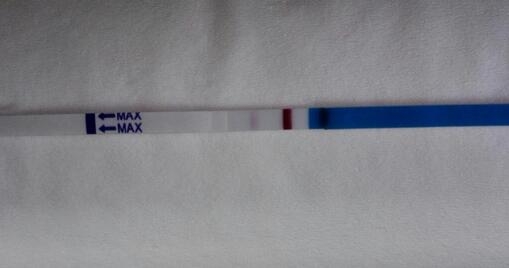 怀孕了第一个月会不会正常来月经,怀孕了还会来月经有血块吗