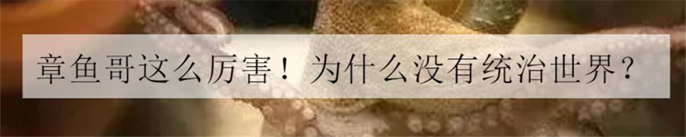 给所有朋友的忠告,给大家的五点忠告人生感悟