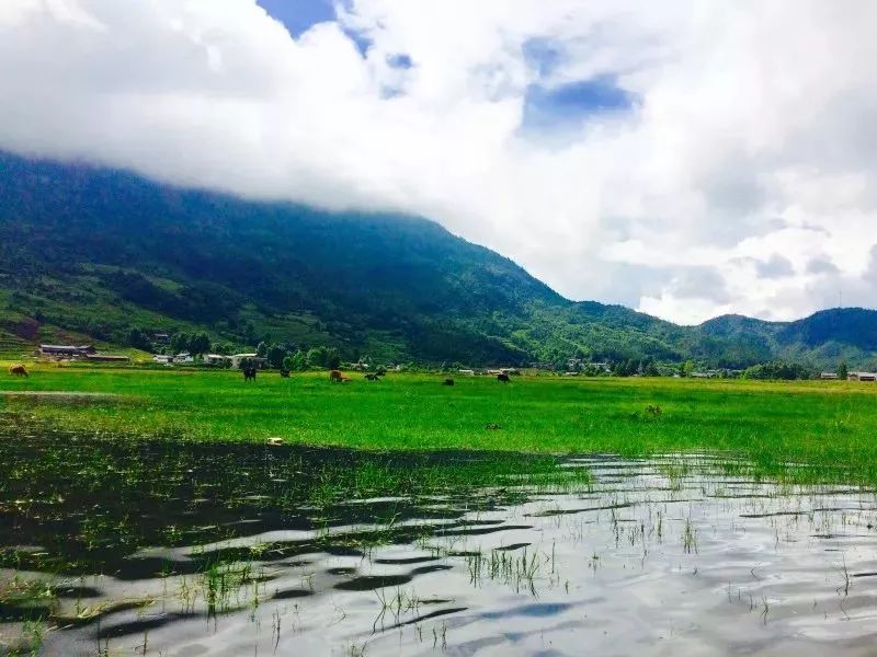 丽江这个时候冷不冷,丽江最美季节