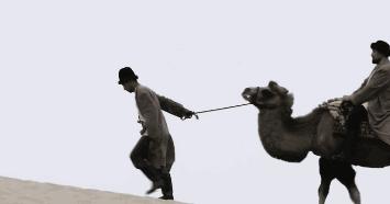 说到绝美我总想到她的处女作(转自毒sir公众号)