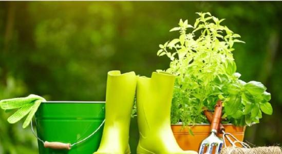 通过多元智能理论发掘孩子潜能,多元智能理论与儿童的学习生活