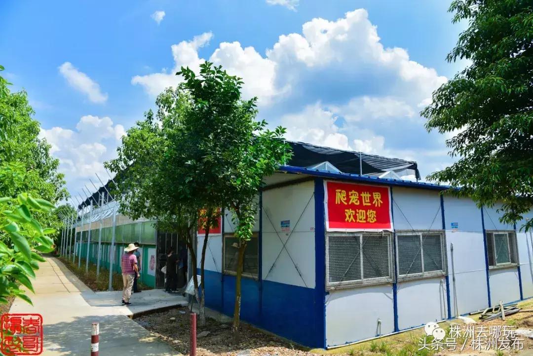 株洲好玩的生态园,株洲玩的地方推荐动物园