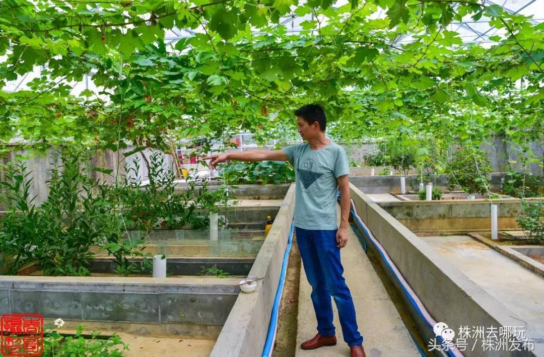 株洲好玩的生态园,株洲玩的地方推荐动物园