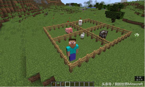 我的世界网易版怎么做苦力怕农场,我的世界1.19苦力怕农场选址