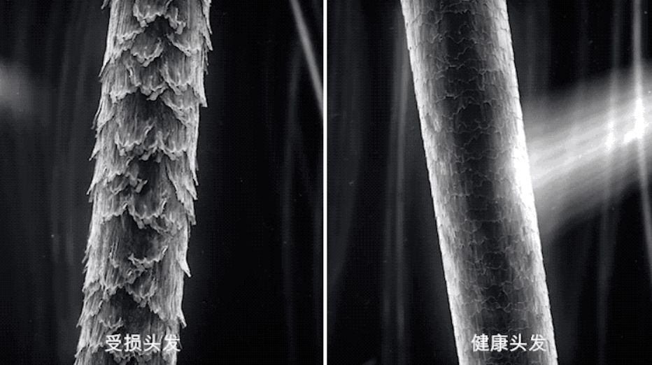 我说它是中产标配，没人有意见吧