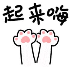 成都城市音乐厅近期演出,成都市凤凰山体育场馆