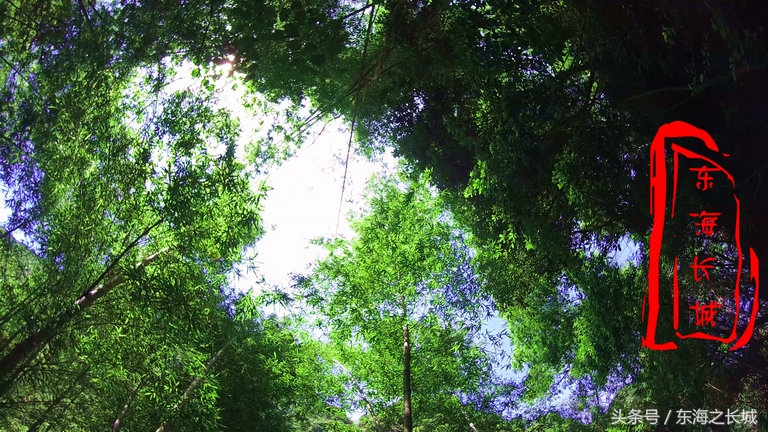 宁波五龙潭自由行攻略,带你体验夏日凉凉的感觉