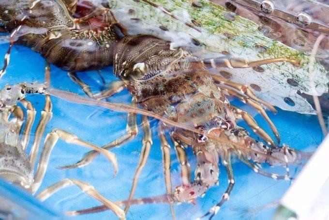 行走在海口的美食记，不容错过的美味