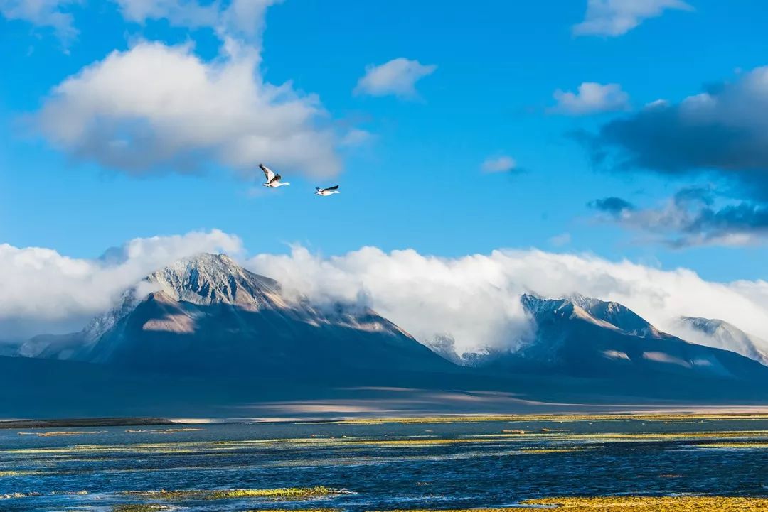 关于*藏西**旅行,你应该知道的15件事