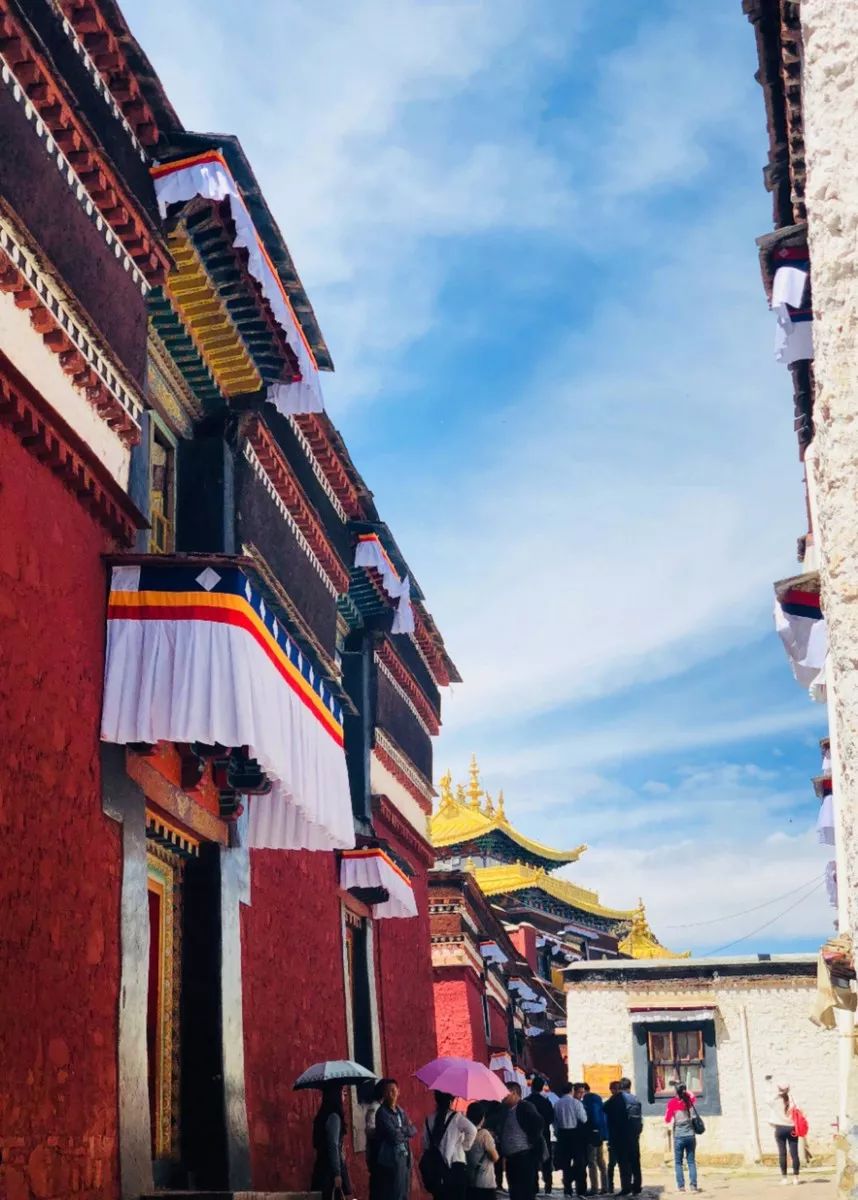 关于*藏西**旅行,你应该知道的15件事