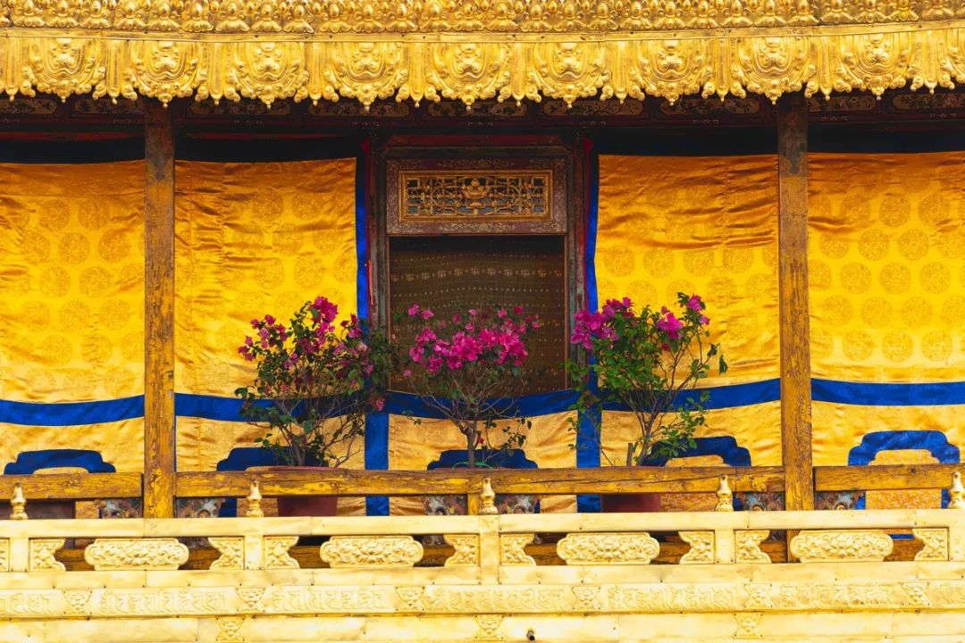 关于*藏西**旅行,你应该知道的15件事