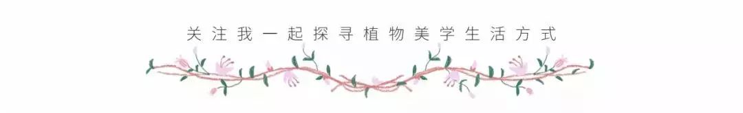 宋慧乔开播新剧,宋慧乔新剧美貌