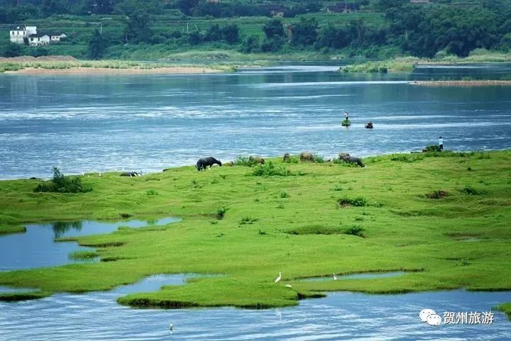 广西贺州昭平风景,贺州昭平最唯美的风景
