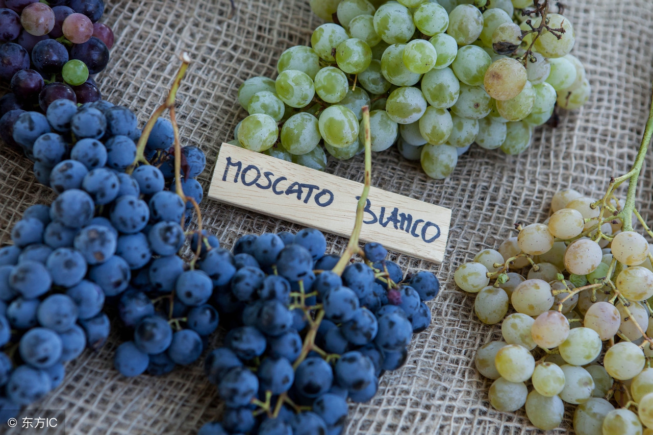 moscato甜水测评,小甜水小众