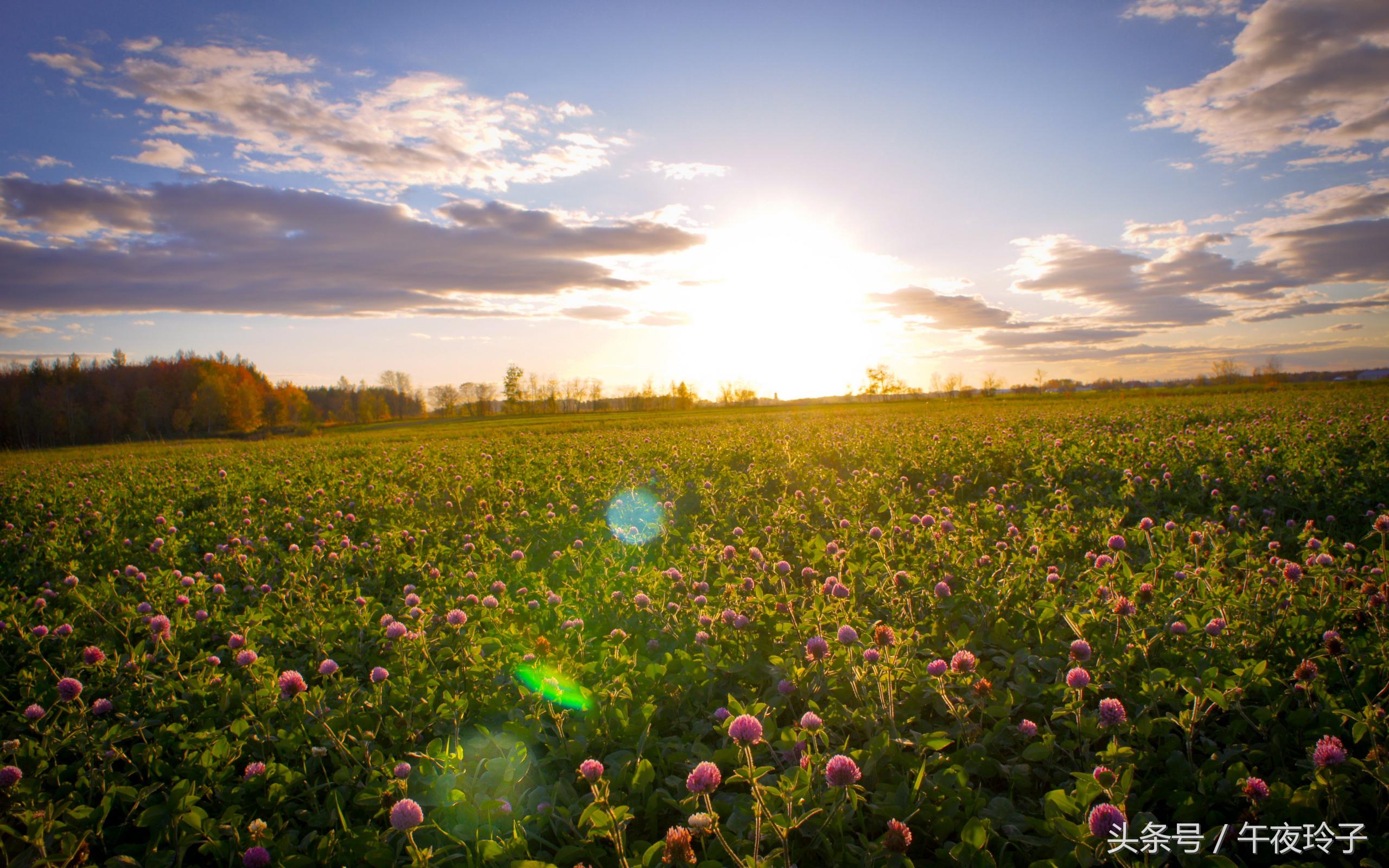 中国钢琴曲30首好听,哪首钢琴曲好听又好弹