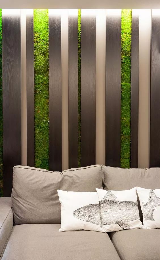 适合大白墙的绿植,把绿植挂在墙上