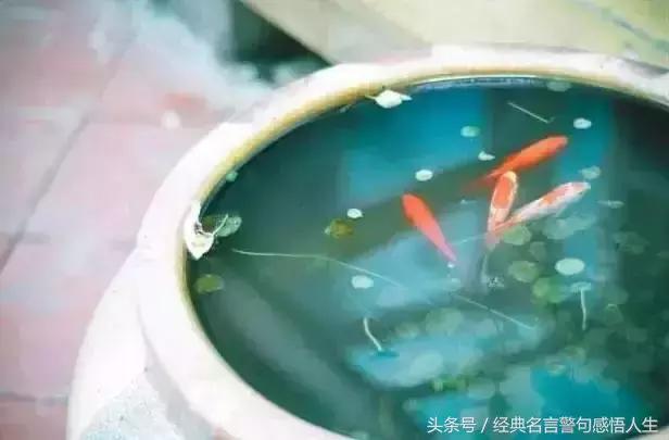 中华诗词人生一知己足以慰风尘,人生一知己足矣随笔