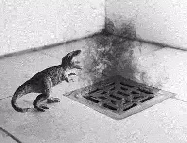 *京大南**妈把香醋放到厕所，第二天醒来惊呆了！