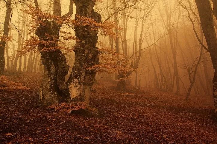 「书香润检察」第十期：诗意人生——之一起品读于丹心中的最美古诗词