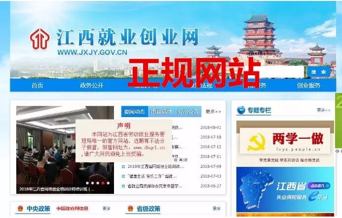 假冒国家机关网站怎么处理,如何发现假政府网站