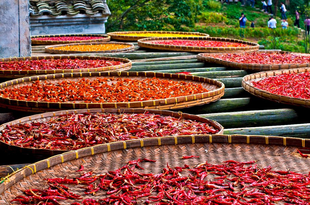 秋天的婺源什么时候去最美,秋天的婺源是色彩的天堂