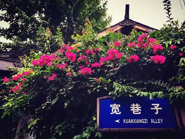 盘点你不知道的成都冷知识top20,关于成都你不知道的冷知识