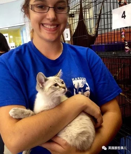 喵星人沉迷吸桃不能自拔……嗯……连颗桃子都有猫了啊！