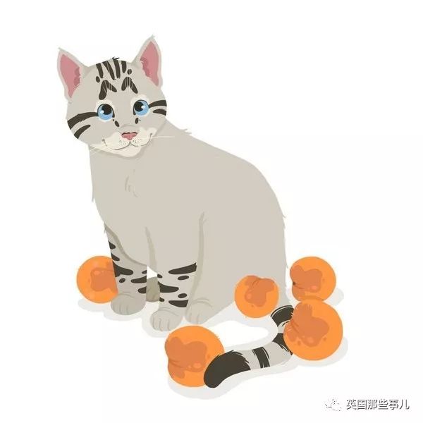 喵星人沉迷吸桃不能自拔……嗯……连颗桃子都有猫了啊！