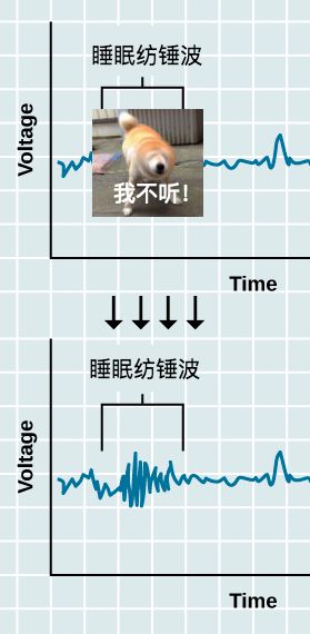 为什么有些人很吵都能睡着,为什么有的人很吵也能睡得着