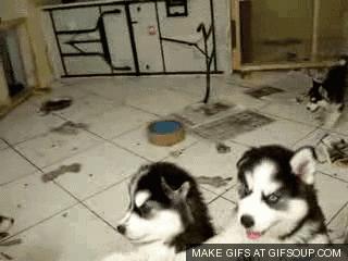 为什么有些人很吵都能睡着,为什么有的人很吵也能睡得着