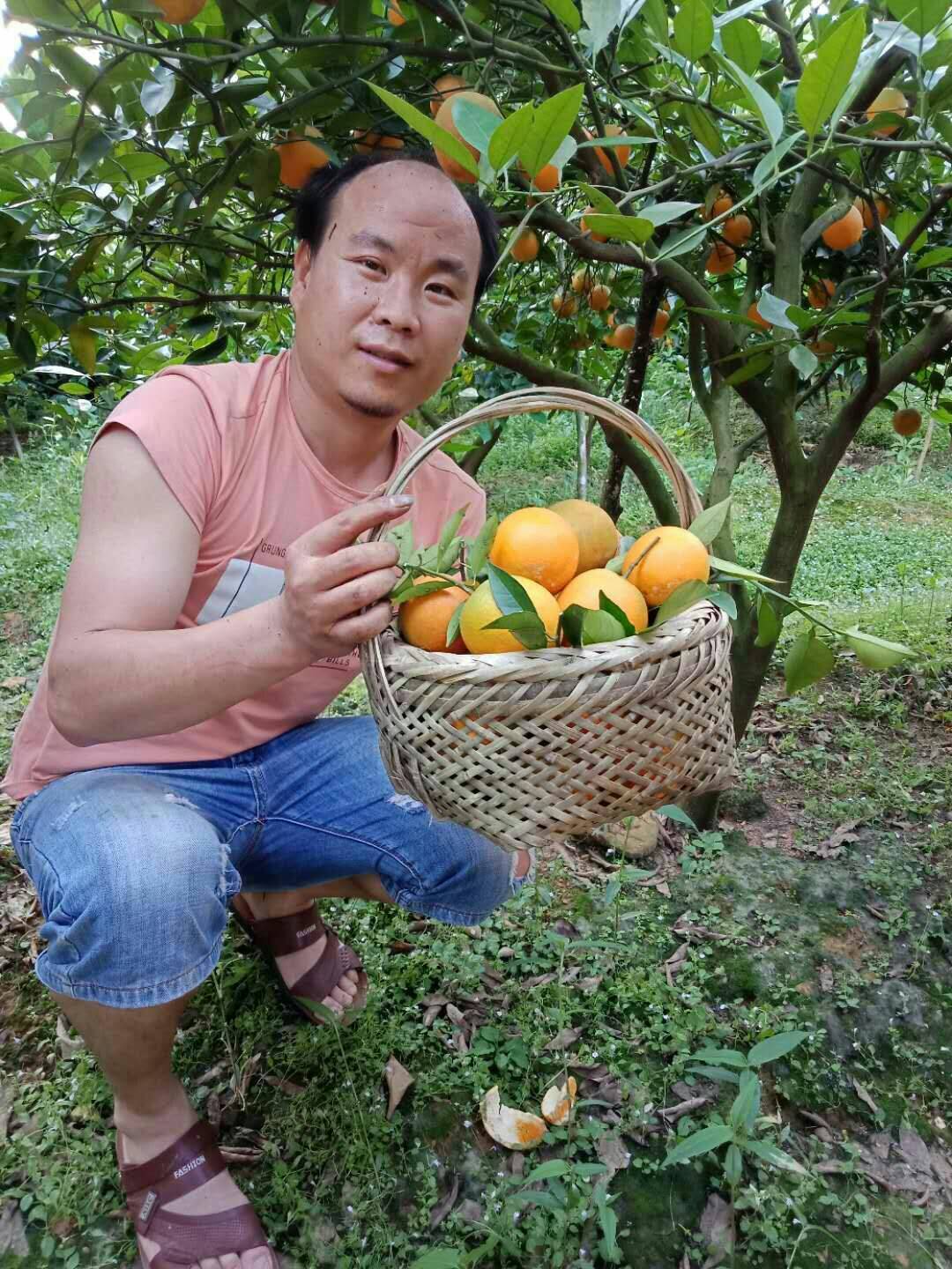 农业永远是最实在的行业,农业不是想象中的那么简单