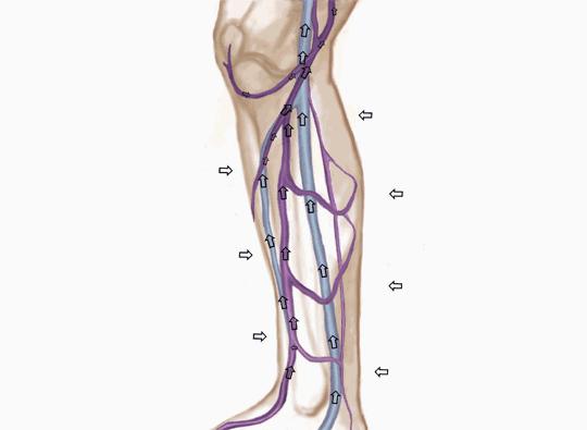 跷二郎腿有什么危害腿粗,跷二郎腿有什么危害图片