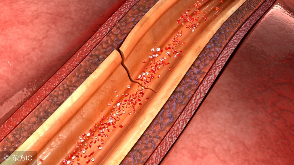 科学家发现治疗脱发,科学家发现脱发者的福音