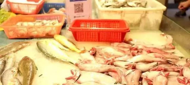 开渔，台州海鲜卖白菜价