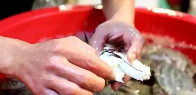 开渔，台州海鲜卖白菜价