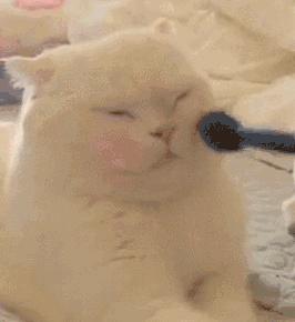 有什么实用的夏日不脱妆小妙招,妆感持久11个小时不脱妆秘诀